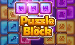 Puzzle Block image