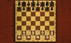 Chess Master King image