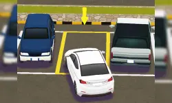 Real Car Parking 3D : Dr Parking image