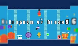 Kingdom of Ninja 6 image