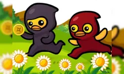 Ducky Adventure image