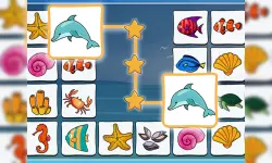 Connect Master image
