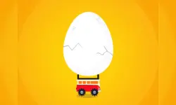 Save the Egg image