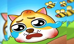 Save My Doge image