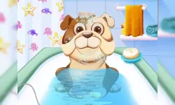 Animal Daycare image