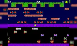 Clumpsy Frogger 2D image