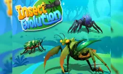 Insect Evolution image