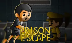 Prison Escapes image