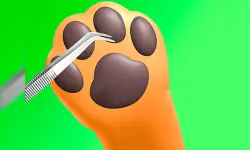 Paw Care image