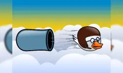 Cannon Duck image