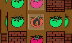 Paint Tomato image