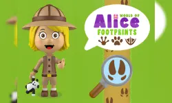 World of Alice Footprints image