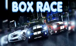 Box Race image