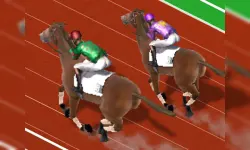 Derby Racing image