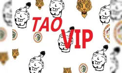 TaoVip image