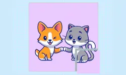Cats and Dogs Puzzle image