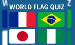World Flag Quiz image