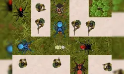 Spider Defense image