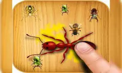 Ants Touch image