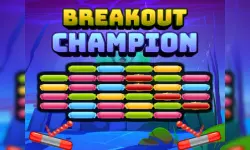 Breakout Champion image
