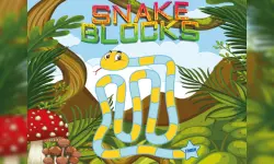 Snake Blocks image