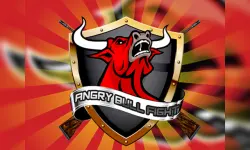 ANGRY BULL image