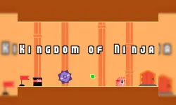image bg Kingdom of Ninja