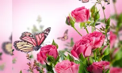 Butterflies Puzzle image