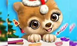 Christmas Animal Makeover Salon - Cute Pets image