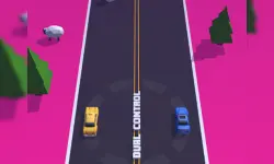 Dual Control Car image
