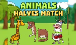 Animals Halves Match image
