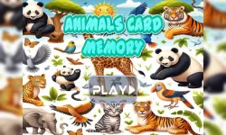 Animal cards memory image
