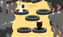 Catch The Cats image