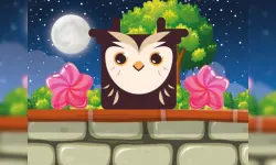 Owl Block image