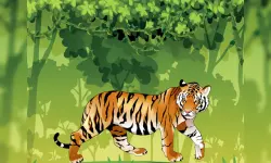 Angry Tiger Coloring image