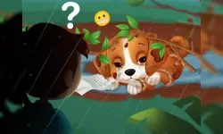 Lost Puppy Rescue and Care image