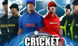World Cricket Stars image