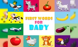 Baby First Words image