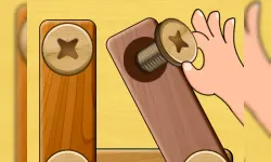 Screw Puzzle image
