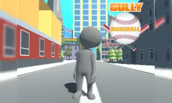 Gully Baseball image