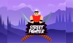 Street Fighter Online Game image