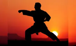 Karate Sunset Warriors image