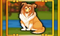 Bernese Mountain Dog Escape image