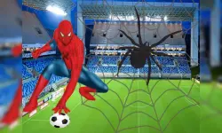 Spidy Soccer image