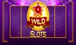 Wild Slot image