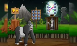 Infant Chimp Escape image