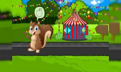 Feed the squirrel image