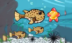 Run Fish Run image