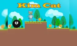 Kim Cat image