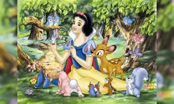 Snow White Hidden Stars image